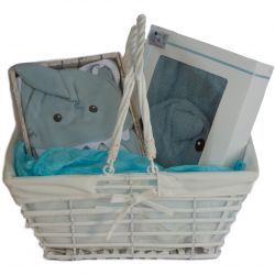 Panier de naissance personnalisé : eaux douces garçon