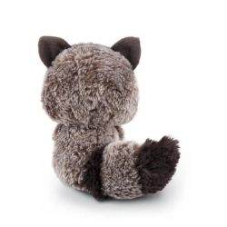 Peluche personnalisée 25cm : Raton laveur