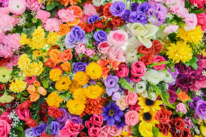 Quel bouquet de fleurs naissance offrir à une nouvelle maman