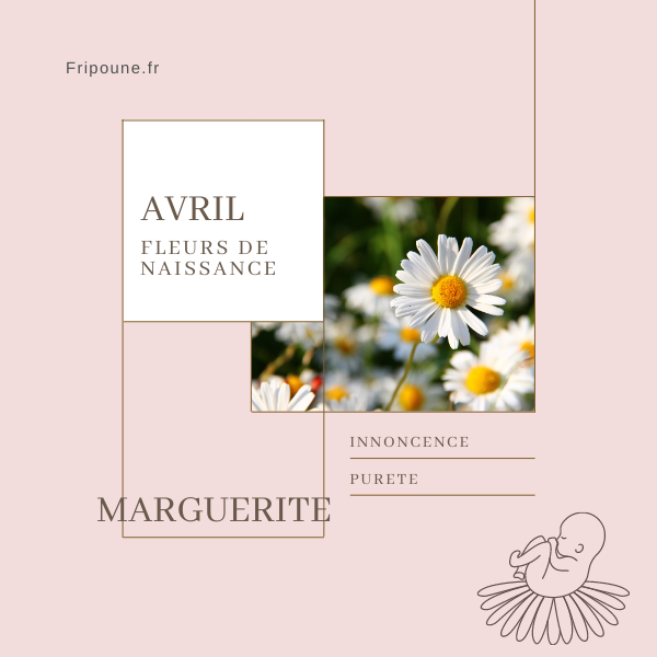 La marguerite est la fleur de naissance du mois d'avril