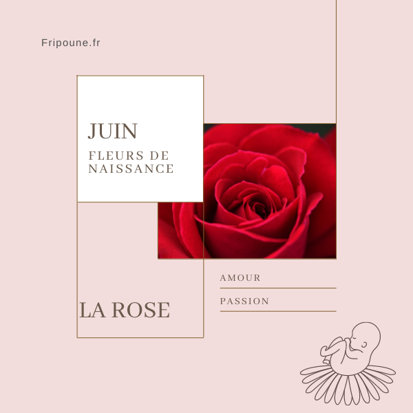 Fleur de naissance de juin, la Rose