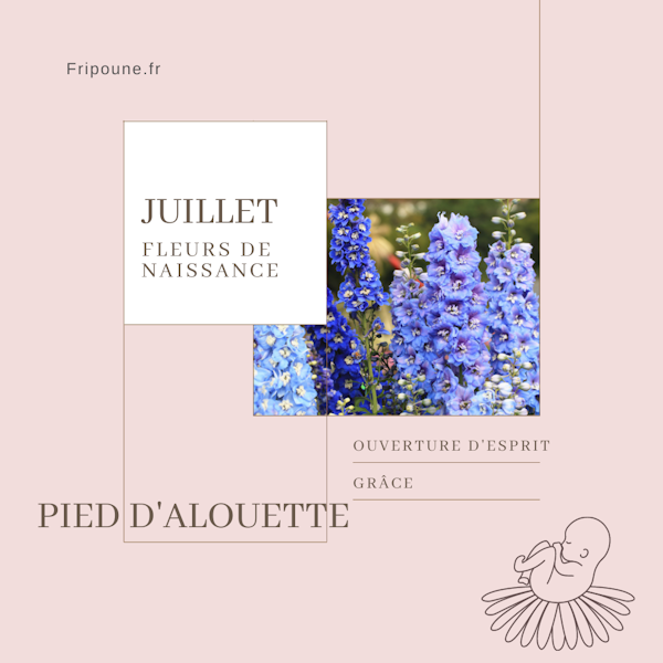 Pied d'alouette et fleur de naissance de Juillet signification