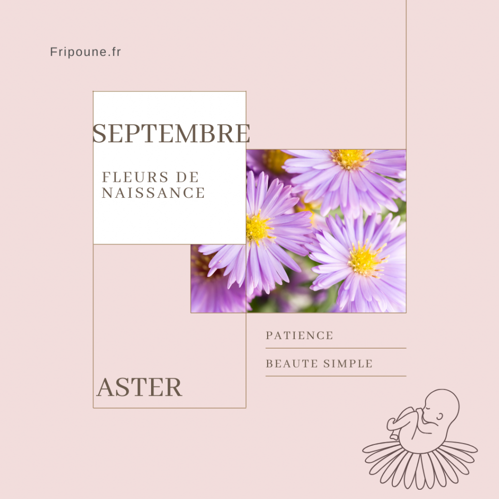 fleur de naissance Septembre