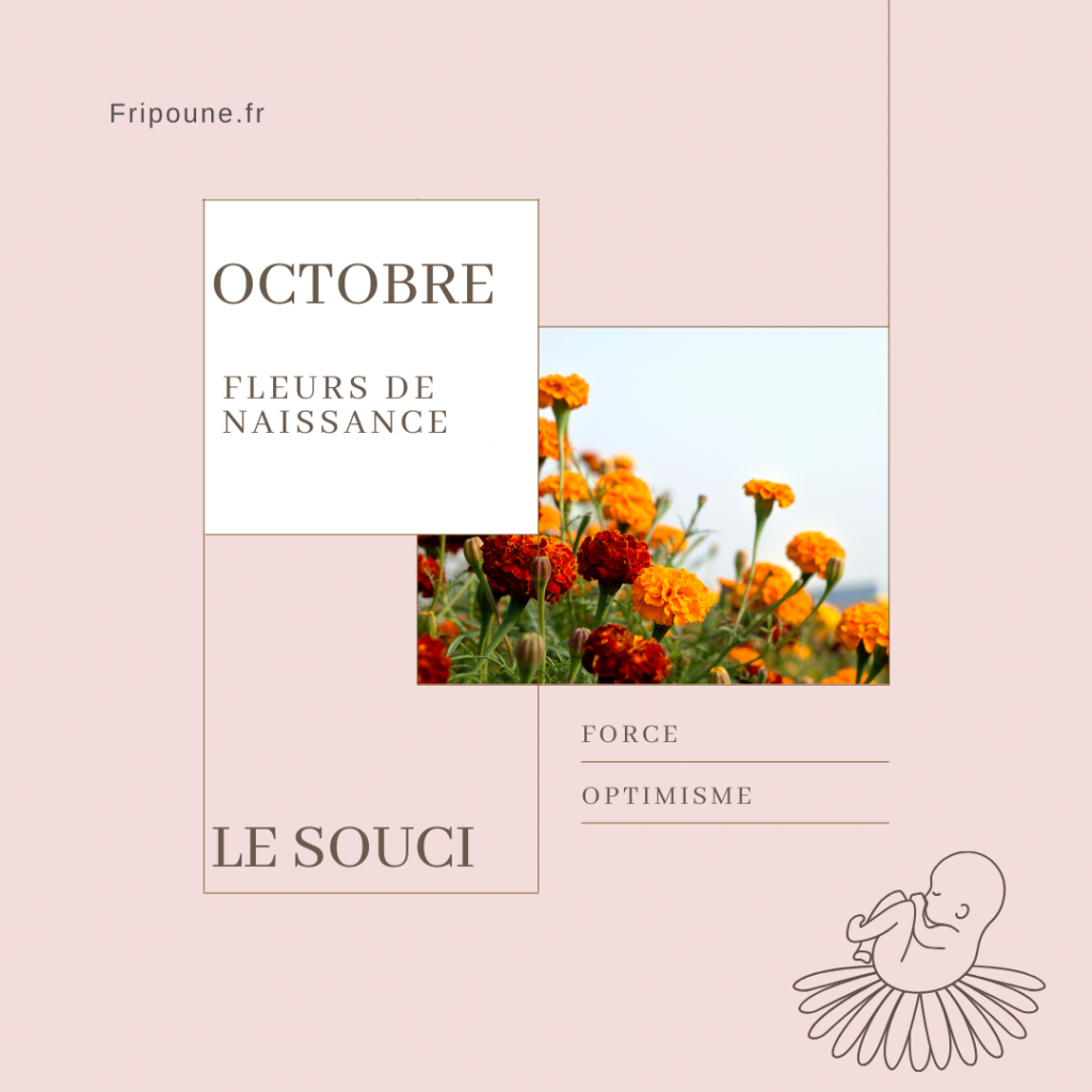 fleur de naissance du mois d'octobre