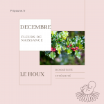 la signification du houx, la fleur de naissance de décembre