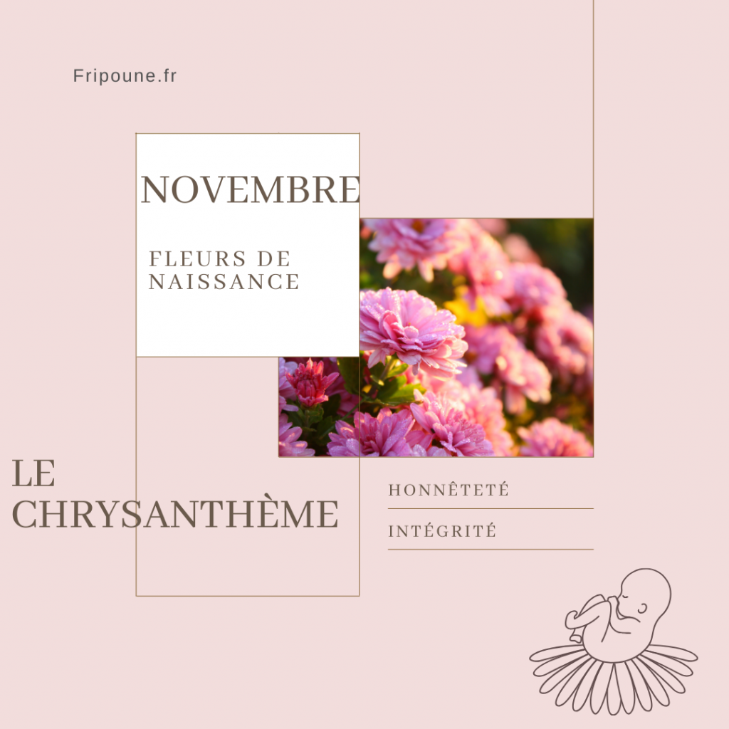 fleur de naissance novembre